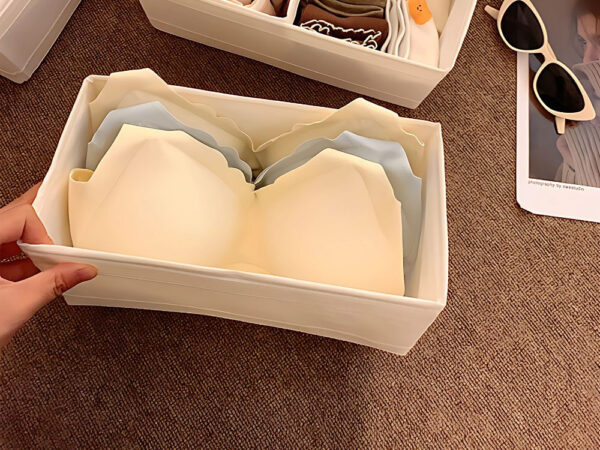 organizator sutieni